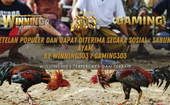 Setelah Populer dan Dapat Diterima Secara Sosial : Sabung Ayam By WINNING303 / GAMING303