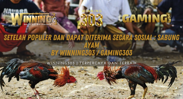 Setelah Populer dan Dapat Diterima Secara Sosial : Sabung Ayam By WINNING303 / GAMING303