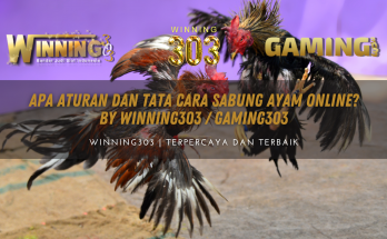 Apa Aturan Dan Tata Cara Sabung Ayam Online? By WINNING303 / GAMING303