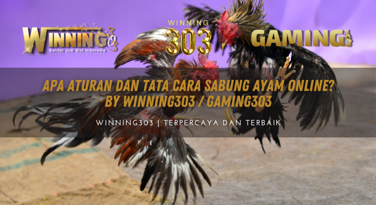 Apa Aturan Dan Tata Cara Sabung Ayam Online? By WINNING303 / GAMING303