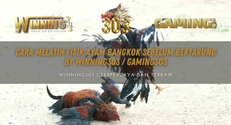 Cara Melatih Fisik Ayam Bangkok Sebelum Bertarung By WINNING303 / GAMING303