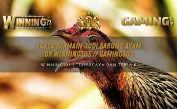 Fakta Bermain Judi Sabung Ayam By WINNING303 // GAMING303