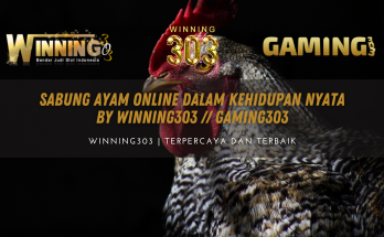 Sabung Ayam Online Dalam Kehidupan Nyata By WINNING303 // GAMING303