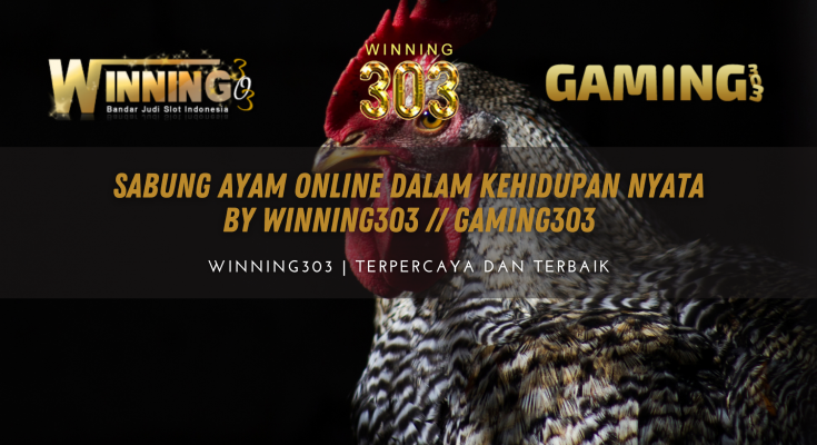 Sabung Ayam Online Dalam Kehidupan Nyata By WINNING303 // GAMING303