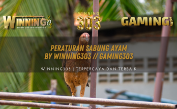 Peraturan Sabung Ayam By WINNING303 // GAMING303