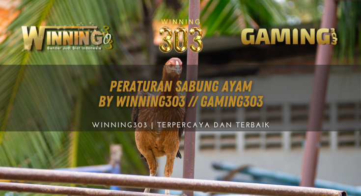 Peraturan Sabung Ayam By WINNING303 // GAMING303