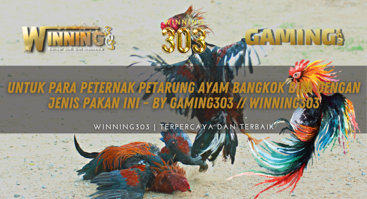 Untuk Para Peternak Petarung Ayam Bangkok Bisa Dengan Jenis Pakan Ini