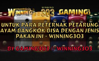 Untuk Para Peternak Petarung Ayam Bangkok Bisa Dengan Jenis Pakan Ini - WINNING303