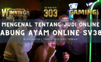 Mengenal Tentang Judi Online Sabung Ayam Online SV388