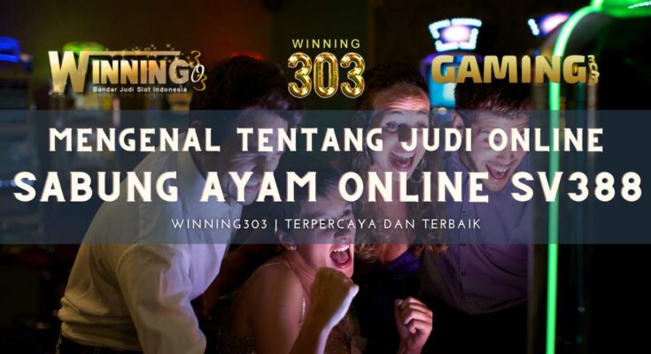 Mengenal Tentang Judi Online Sabung Ayam Online SV388