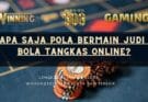Apa Saja Pola Bermain Judi Bola Tangkas Online?