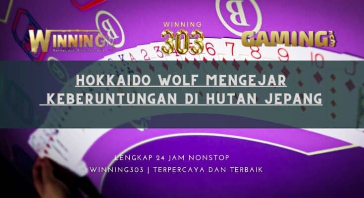 Hokkaido Wolf Mengejar Keberuntungan di Hutan Jepang