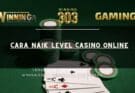 Cara Naik Level casino online